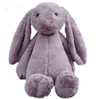 Cute Long-Eared Bunny Plush Toy for Kids