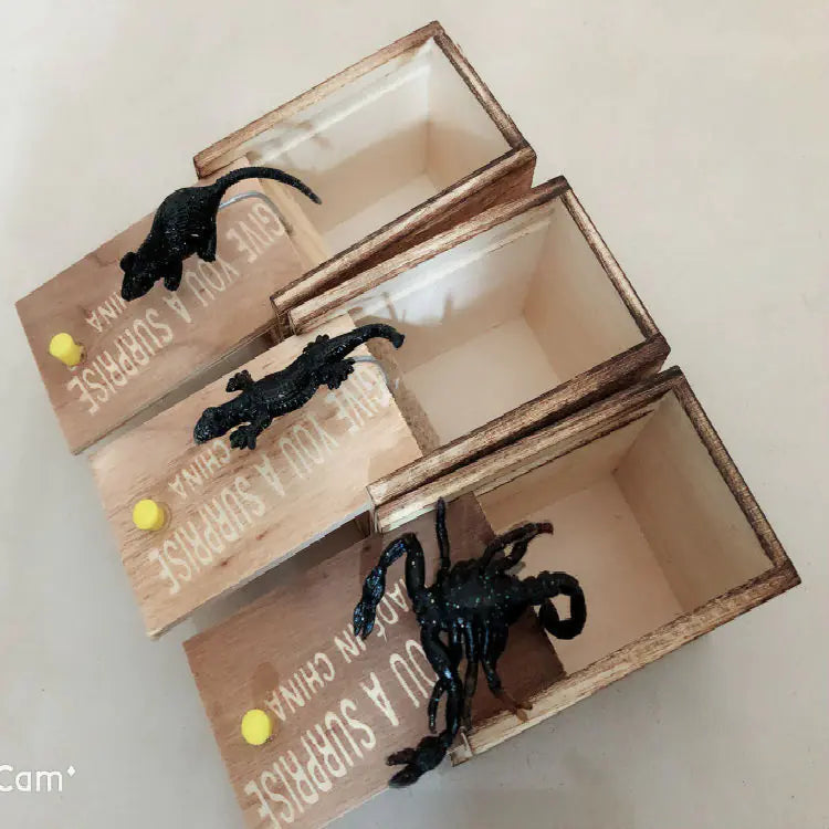 Prank Scare Box with Creepy Spider Toy